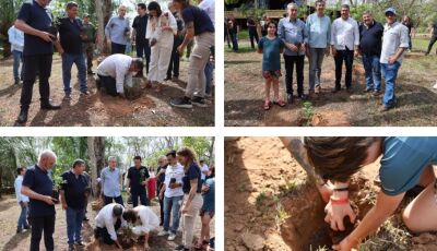 Plantio de árvores marca início da ação de compensação de carbono do Festival de Inverno 2025