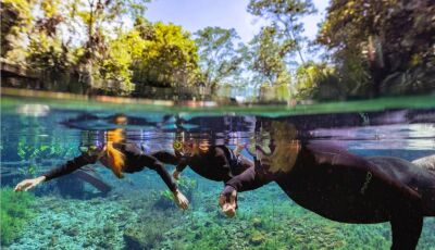 A magia da flutuação em um cenário de tirar o fôlego venha para a Nascente Azul