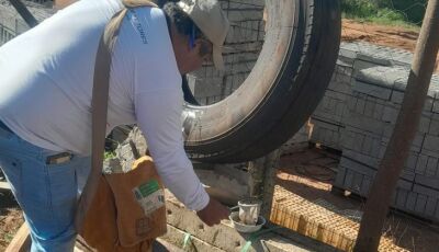 Após seminário, municípios de MS relatam impacto positivo das ovitrampas no controle das arboviroses