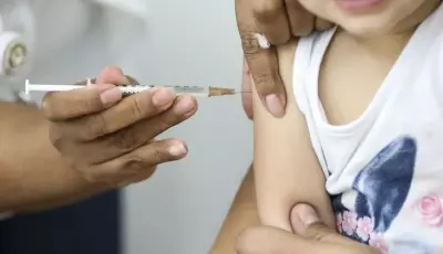 MS segue sem casos e reforça bloqueio com vacinação e vigilância ativa