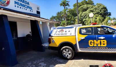 Jovem furta padaria e acaba detido por guarda municipal de folga
