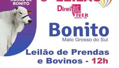 Bonito realiza 6&ordm; Leilão Direito de Viver em prol do Hospital de Amor