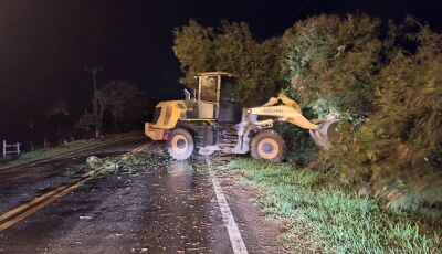 Bonito realiza remoção de árvores que desabaram com chuva