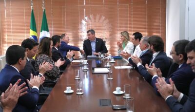 Governo de MS cria comitê para recuperação de ativos do Estado e combate a crimes fiscais