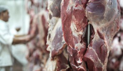 Exportações de MS somam US$ 7,24 bilhões até agosto e carne bovina cresce 43,7% no acumulado do ano