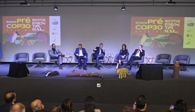 Para preservação do Pantanal, MS e MT se unem e apontam prioridades na Pré-COP30