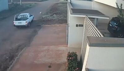 Cachorro é perseguido e espancado por homem na carroceria de veículo 
