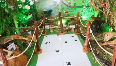 Museu de Animais Taxidermizados da PMA está aberto para visitação em Bonito