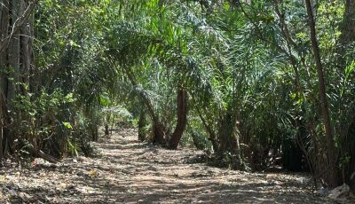 Prefeitura de Bonito pede colaboração da população para preservar a Rota Boiadeira