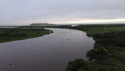 Com exemplo de MS na preservação do Pantanal, Governo Federal sanciona estatuto para o bioma