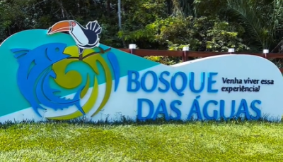 Bosque das Águas: 10 decks para mergulhar no Rio Formoso