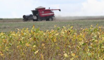 Começa plantio da maior safra de soja de Mato Grosso do Sul, com expectativa de colher 15 milhões