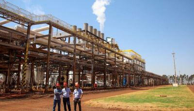 Setor de bioenergia é 'portador do futuro' dentro das políticas de transição energética do Governo 