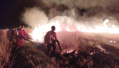 Atuação do Corpo de Bombeiros contribui para controle de incêndio em parque estadual de MS