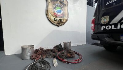 Polícia Civil realiza operação contra furtos e receptação de fios de cobre em MS