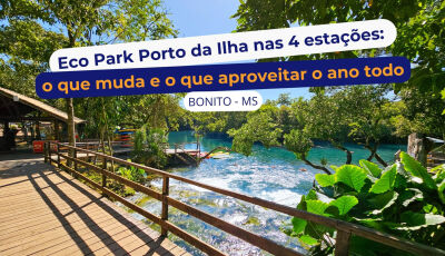 Eco Park Porto da Ilha nas 4 estações: o que muda e o
que aproveitar o ano todo