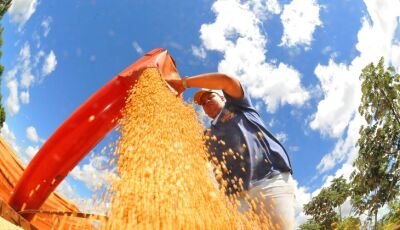 Valor Bruto da Produção Agropecuária de Mato Grosso do Sul cresce 23,6% e atinge R$ 76,3 bilhões