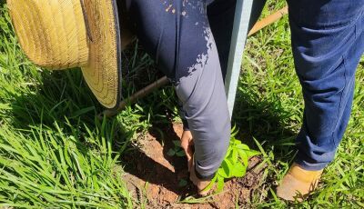 Prefeitura de Bonito realiza replantio de árvores vandalizadas no acesso ao Balneário Municipal