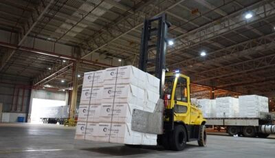 Celulose mantém liderança e exportações de MS crescem 4,24% no acumulado de janeiro a outubro de 202
