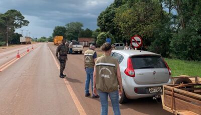 Com pesca proibida em MS até fevereiro do ano que vem, Imasul intensifica fiscalização