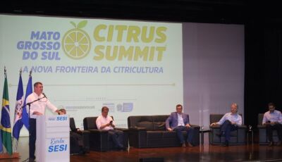 Com apoio do Estado e ambiente positivo, citricultura de MS avança como nova fronteira agrícola  
