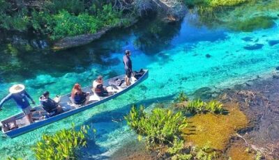 Estado se consolida como referência em turismo sustentável, promoção e inteligência de mercado