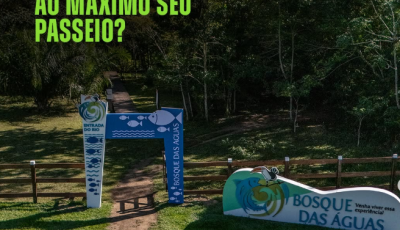 Bosque das Águas: o refúgio natural que conquista visitantes em Bonito/MS