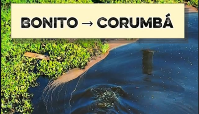 Viagem entre Bonito e Corumbá pela MS-178 e BR-262 revela a força do Pantanal