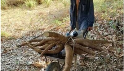 Homem passa mal colhendo mandioca e morre horas depois em MS