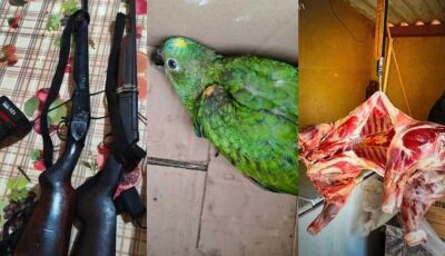 Homem é preso por violência doméstica e polícia encontra armas, animais e carneiros furtados 