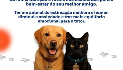 Prefeitura de Bonito reforça a importância da adoção responsável e do cuidado com os pets