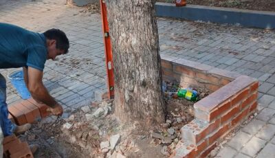 Bonito realiza manutenção dos canteiros e das placas de drenagem de águas pluviais na Pilad Rebuá
