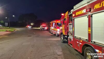 Motorista morre ao atropelar javali em Mato Grosso do Sul