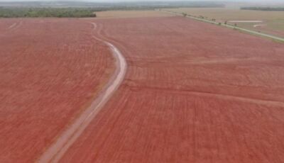 Com forte demanda do campo, FCO teve recorde de financiamentos no Estado em 2025