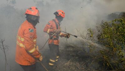 MS reforça planejamento contra o fogo e mobiliza Corpo de Bombeiros no combate a focos no Pantanal