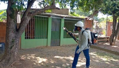 Prefeitura de Bonito realiza ações integradas para fortalecer prevenção e controle da dengue