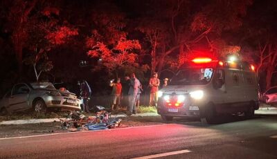 Motorista atropela anta, invade pista e deixa cinco feridos em MS