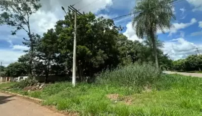 Prefeitura de Bonito divulga balanço da fiscalização de terrenos baldios