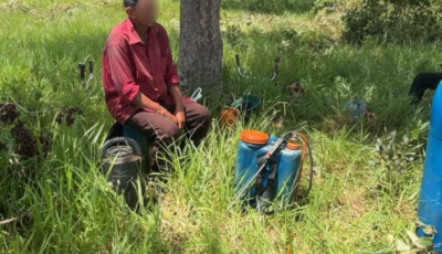 12 trabalhadores em situação análoga à escravidão são resgatados 