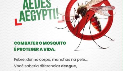 Alerta de saúde: população deve redobrar cuidados contra dengue, zika e chikungunya