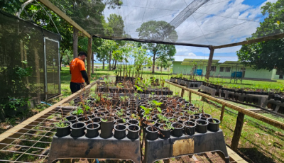 ADM Cares e IHP ampliam atuação no Pantanal e na Serra da Bodoquena com ações integradas de conserva