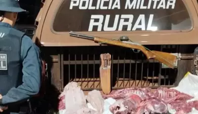 Homem é preso com carne de jacaré e javali, arma e munições na zona rural de MS