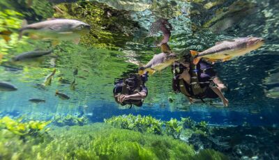 Bonito recebe 293 mil turistas em 2025 e mantém turismo em patamar elevado