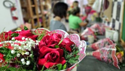 Procon de Mato Grosso do Sul divulga pesquisa sobre flores e autocuidado