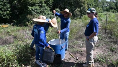 Projeto ambiental fortalece recuperação ambiental em Bonito com atuação conjunta ao Governo de MS