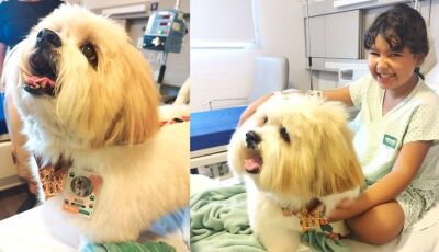 Paciente de 10 anos recebe visita surpresa de pet durante internação hospitalar em MS