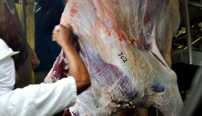 Desossador de frigorífico sofre acidente com faca e morre horas depois  