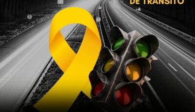 7 de Maio  Dia Nacional em Memória das Vítimas de Trânsito