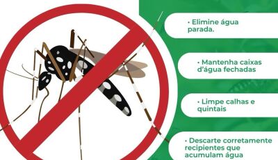 Prefeitura reforça combate à chikungunya e pede apoio da população em Bonito
