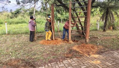 Prefeitura retira uma das academias ao ar livre localizada na pista de caminhada  